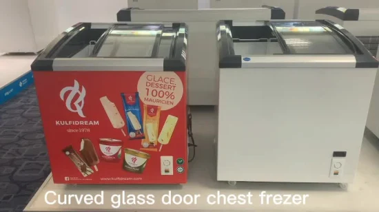 상업적인 냉장고 공장 가격은 닭 물고기 해산물 아이스크림을 위한 유리 미닫이 문 냉장고를 구부렸습니다