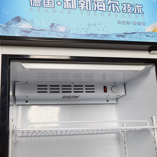 유명한 압축기 상업적인 슈퍼마켓 과일 야채 음료 진열장을 가진 유리제 문 강직한 진열장